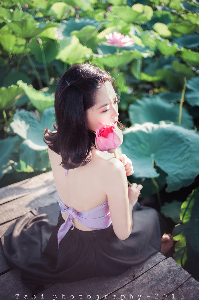 图雅的婚事